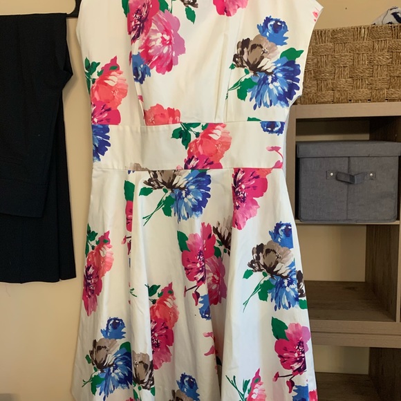 Professional women's clothes, designer shoes - Picture 7 of 15